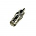 AM-RCA male to BNC female connector (RCA_M-BNC_F)